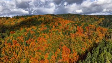 Renkli Sonbahar Tepelerinin Üzerindeki Fırtınalı Gökyüzü Dramatik Bulut Gölgeleri, Havadan Panorama Rolling Ridges 'i Yakalıyor,
