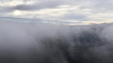 Hava Sisi Şafakta Orman Sırtı 'nda Yuvarlanıyor İHA Gri Bulut Katmanları, Huzur Sessizliği Araştırması,