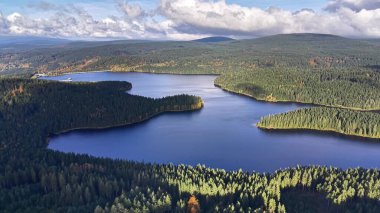 Ayna yüzeyi ve PineLined kıyı şeridiyle Sakin Orman Gölü Havadan Görünümü