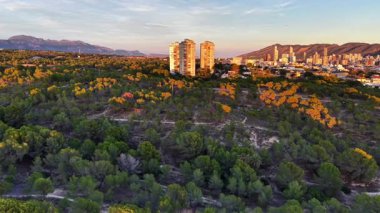 Sabah parıltısıyla çam ağaçlarının üzerinde yükselen ikiz kuleler emlakçı gündoğumunu kaydediyor.