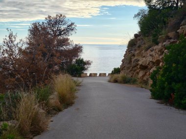 Uzak denizi çevreleyen dar kıyı yolu, çalılarla çevrili asfalt ve kayalık çıkıntı samimi bir yaklaşım yaratıyor.