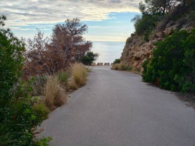 Kıyı çalılıklarıyla kaplı yola yaklaş, yavaşça eğimli asfalt koridor yoğun bir şekilde uzak denize doğru gidiyor.