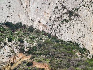 Yoğun Akdeniz bitki örtüsüyle bembeyaz kayalıklara yükselen fundalık tepe, canlı karşıtlık