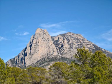 Yeşil çam ağaçlarıyla çerçevelenmiş güneşli kayalık. Sıcak ışık, kaya hatları, ön plan çalıları ve her zaman yeşil.
