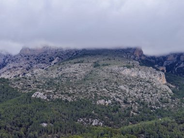 Hava manzarası alçak bulut örtüsünün altındaki devasa uçurum. Aşağıda yoğun ormanla buluşan kayalık plato.