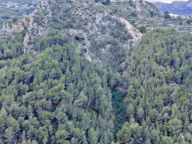 Gökyüzü manzaralı yoğun çam sırtı tepe örtüsü üzerinde yükseliyor engebeli kayalık çıkıntılar ve katmanlı yamaçlar, koyu yeşil