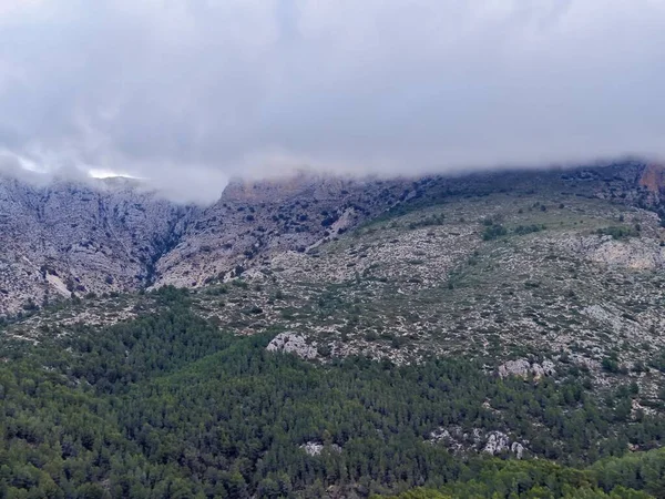 Alçak bulutlar ve geniş orman kuşağıyla süslenmiş yüksek plato katmanlı kaya terasları oluşturur.