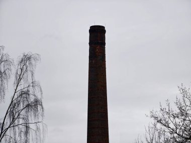 Çıplak ağaçlı uzun tuğlalı baca yıpranmış kırmızı tuğlalar havan topunun üzerindeki yosun parçacıkları ağaç dalları çerçeveli.