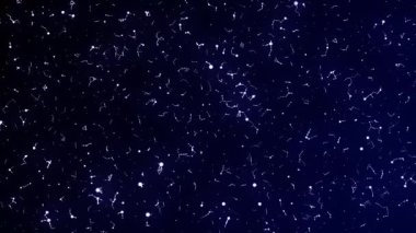 Kozmik Sürüklenme Animasyonu Galaktik Hareketli 4K Arkaplan gibi