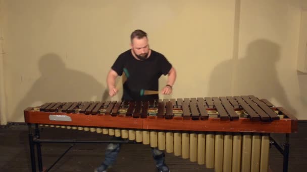 Ein Schlagzeuger, Männer mit Bart, die ein Musikinstrument Marimba spielen. — Stockvideo