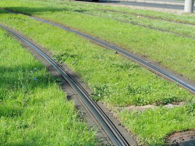 Şehir bölgesinde yeşil tramvay hattı. Kopyalama alanı