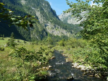 Berchtesgaden Alpleri 'ndeki Knigssee Gölü ile Obersee Gölü' nü birbirine bağlayan Salebach Dağı deresi yeşil çayır ve ormanların arasından akar. Kopyalama alanı.