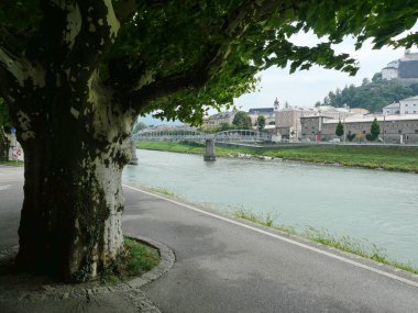 Hohensalzburg kalesi, Salzach, köprü ve eski uçak ağacı ile Salzburg manzarası. Kopyalama alanı.