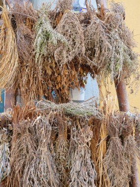 Ahşap bir çerçevede asılı kurumuş bitkiler demetleri, doku, renk ve gelenek üzerine odaklanın. Kopyalama alanı.