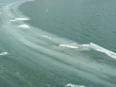 Açık Suya Geçiş Alanı ile Donmuş Baltık Denizi. Kış Işığında Çapraz Buz Örnekleri ve Uçan Martı.