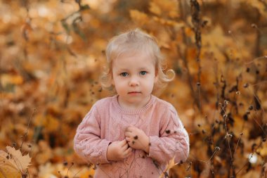 Sonbahar yapraklarıyla çevrili pembe kazaklı şirin sarışın bir çocuğun portresi..
