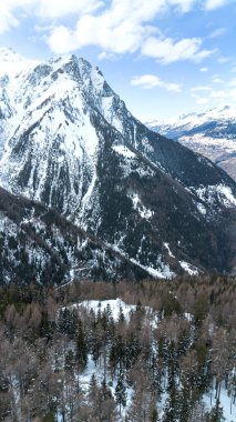 Kışın ormanla kaplı karla kaplı dağ manzarası. Alp manzarası.