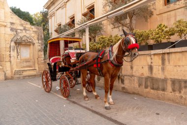 Geleneksel Malta cazibesini Karrozzin at arabasıyla tarihi caddelerde dolaşarak tecrübe edin. Seyahat, turizm ve kültürel içerik için mükemmel..