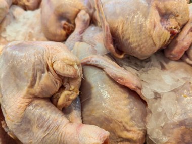 Taze Tüm Tavuklar Buzda