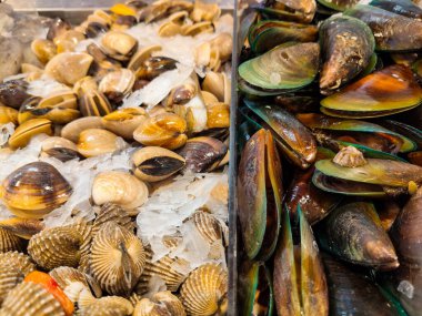 Taze Midye Midye Kalamar Buz Pazarında