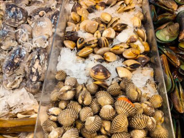 Taze Midye Midye Kalamar Buz Pazarında