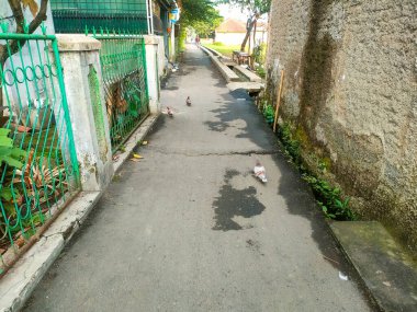 Güvercinler ve çitlerle dolu şehir yolu