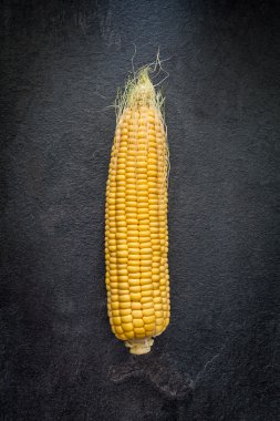 Kayrak Mısır kulak