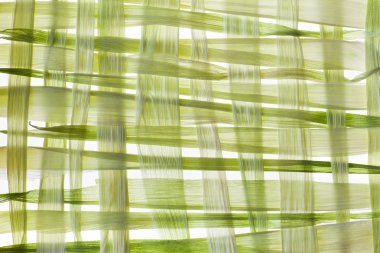 Mısır kabuğu wickerwork kuvvetler beyaz