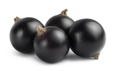 Beyaz arka planda izole edilmiş olgun siyah frenk üzümü. Taze meyve suyu..