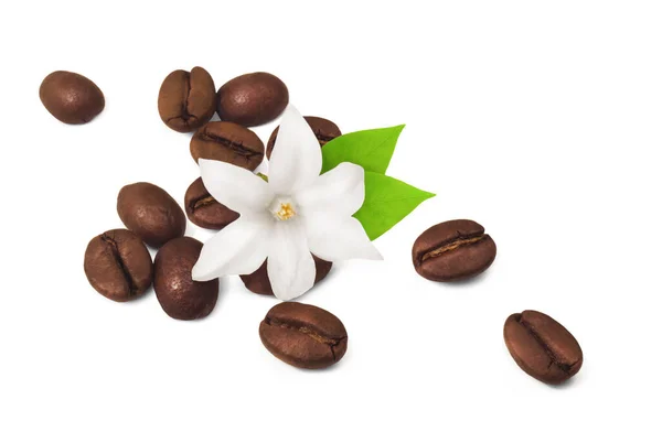 Geröstete Kaffeebohnen Mit Blüten Und Blättern Isoliert Auf Weißem Hintergrund — Stockfoto