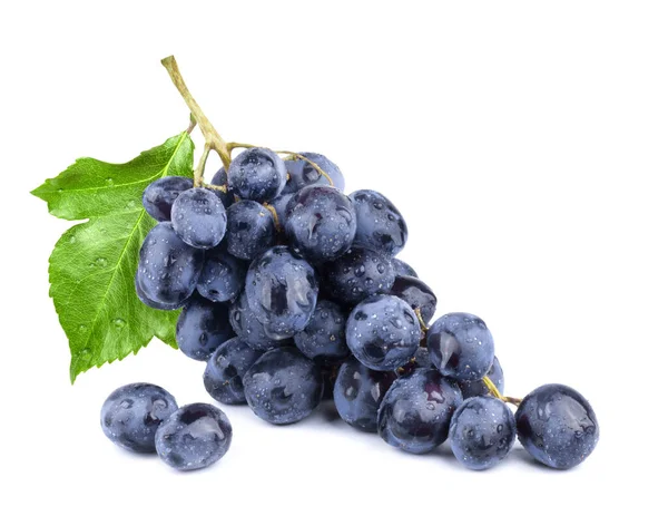 Stelletje Rijpe Donkerblauwe Druiven Geïsoleerd Witte Achtergrond Verse Vruchten Stockfoto