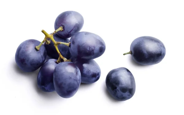Bunch Ripe Dark Blue Grapes Isolated White Background Top View — Stock Photo, Image
