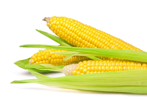 Ripe Sweet Corn Corn Kernels Isolated White Background Fresh Vegetables — Stock Photo, Image