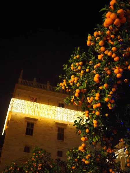 Valencia 'da Noel, Valencia sokaklarında yeni yıl ışıkları. Ağacın üstünde portakal mandalinası ve Noel ışıklarında Valencia Generali, Plaza de la Virgin.