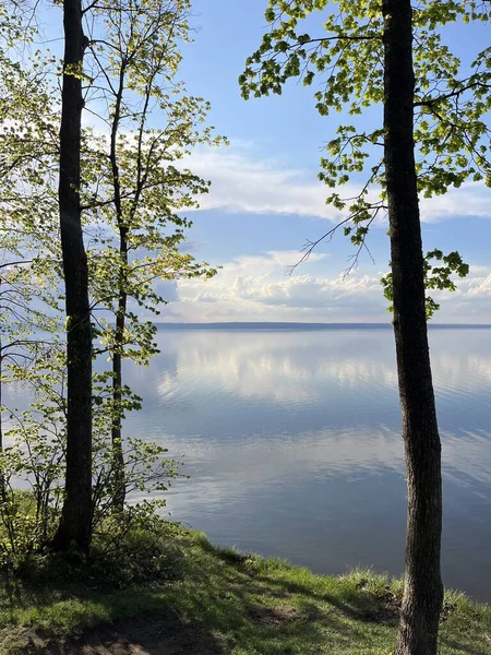 Volga Nehri 'nin geniş alanları: Gökyüzü suyun sessiz yüzeyine, yeşil ormandan görüntüye yansımaktadır. Volga bölgesi, Ulyanovsk, Rusya.