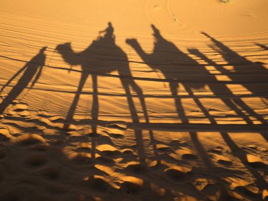 Camel riding among the dunes of the sandy Merzouga Desert. The shadow of the camel caravan falls on the sand. Travel to Morocco.