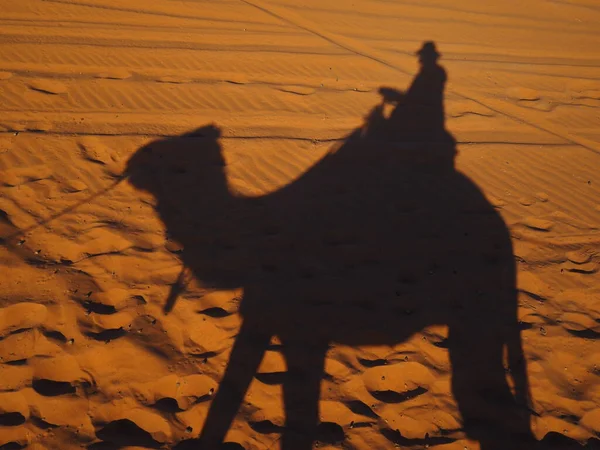 Camel riding among the dunes of the sandy Merzouga Desert. The shadow of the camel caravan falls on the sand. Travel to Morocco.