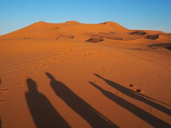 The play of light and shadow among the orange sand dunes of the Merzouga Desert: peoples shadows fall on the sand at sunset. Travel to Morocco, Sahara Desert.