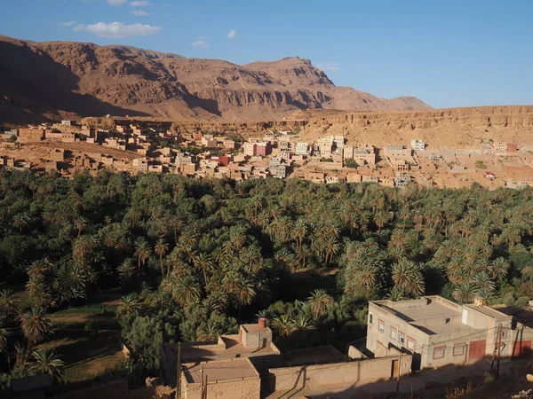 Turuncu Atlas Dağları arasında yeşil bir palmiye vahası, Tinghir şehrinin manzarası. Fas 'a Seyahat.