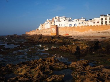 Fas 'ın deniz kenti Essaouira' nın beyaz ve mavi evleri. Gün batımında deniz kenti ve kalenin manzarası..