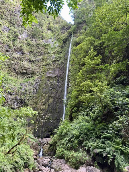 Levada do Caldeirao Verde PR9 yürüyüşü, Madeira Adası, Portekiz ormanları arasında sarp bir uçurumdan düşen yüksek bir şelale.