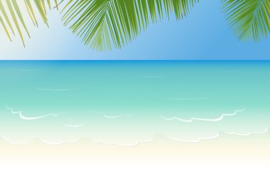 Sandy beach kristal berrak Denizi ve palmiye ağacı yaprakları