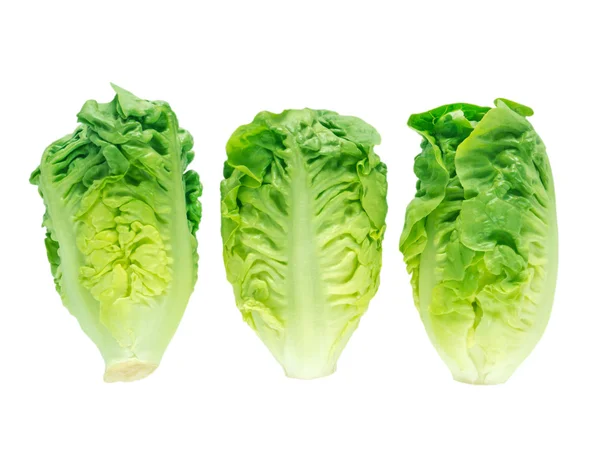 Салатні голівки для салатного салату — стокове фото