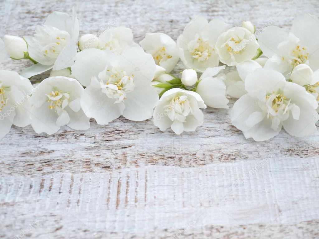 新着白い 花 英語 美しい花の画像 新着白い 花 英語 美しい花の画像