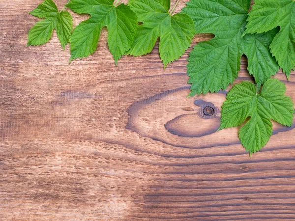 Hop leaves on the wooden plank