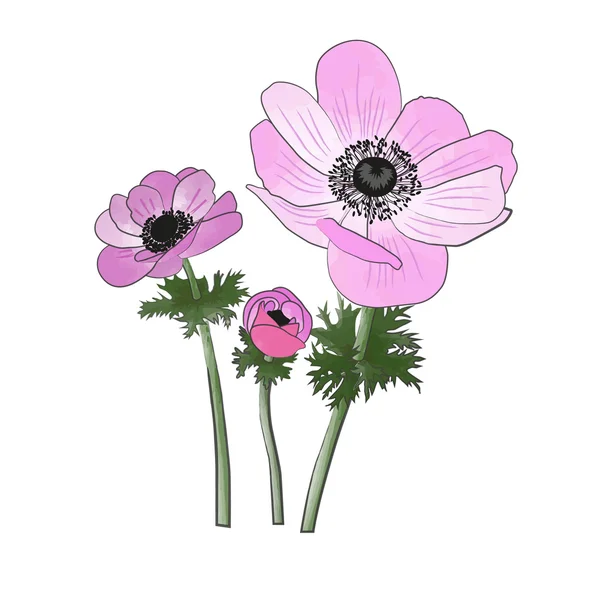 Anemonen aquarel en inkt schilderij imitatie — Stockvector