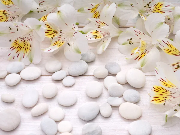 Anbud alstroemeria blommor och vita stenstränder — Stockfoto