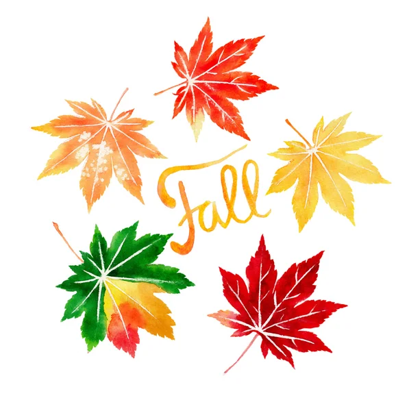 Fünf farbenfrohe Herbst Ahornblätter Aquarell — Stockfoto