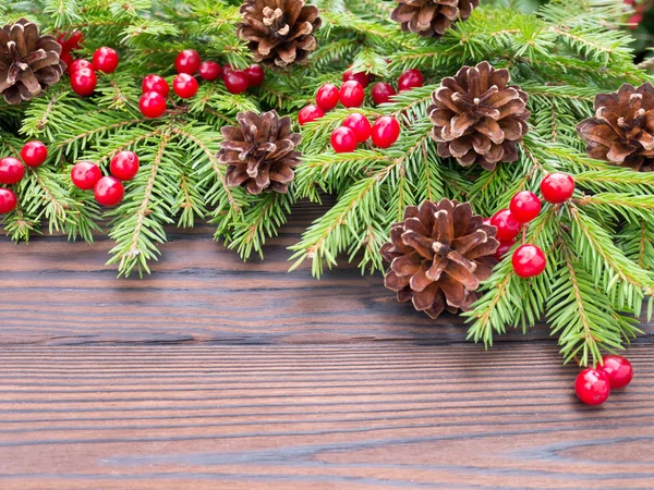 赤い果実と円錐形のクリスマス ツリーの枝 — ストック写真
