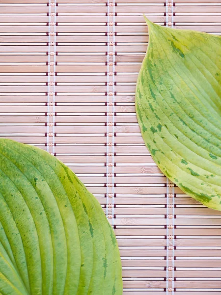 Dos hojas verdes con venas en la estera de bambú — Foto de Stock